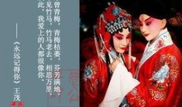 宫廷野史在线观看,在线揭秘古代宫廷风云